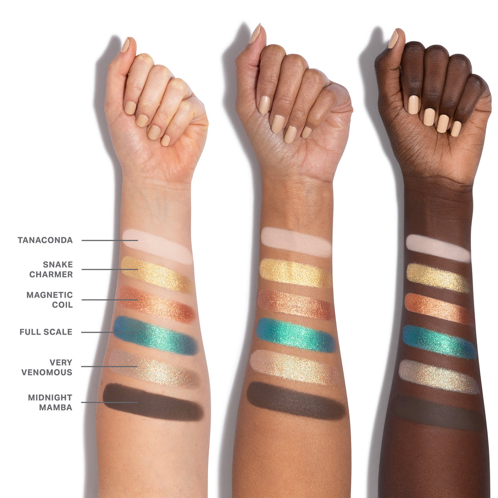 Ready Set Pro Brush Set + Eyeshadow Palette