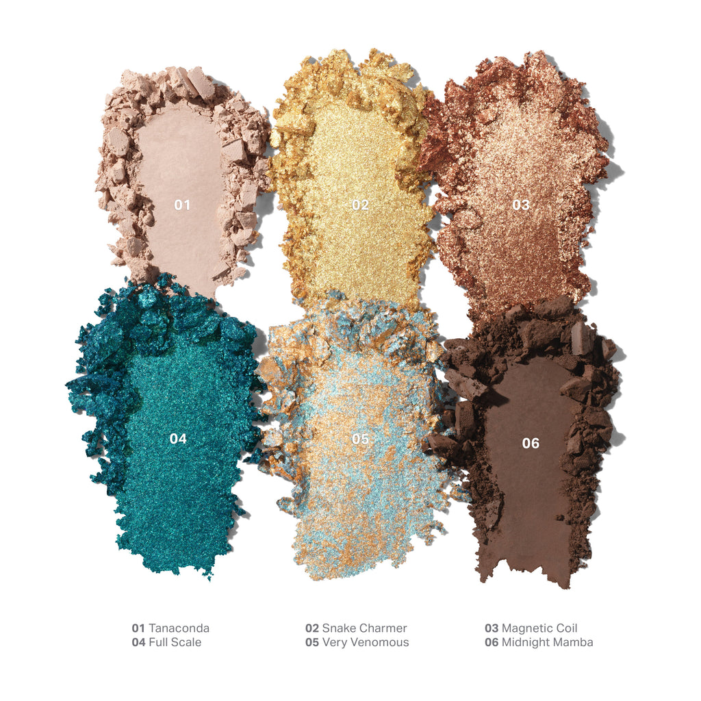 Ready Set Pro Brush Set + Eyeshadow Palette
